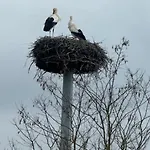Hoffmann Am Rheinbogen Σπίτι διακοπών *