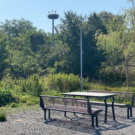 Hoffmann Am Rheinbogen