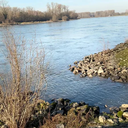 度假居 Hoffmann Am Rheinbogen *