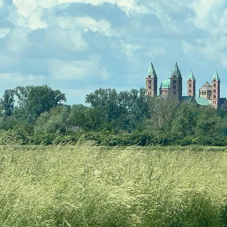 Hoffmann Am Rheinbogen Holiday home *