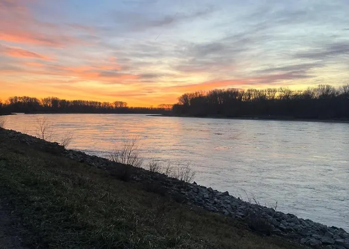 Holiday home Hoffmann Am Rheinbogen