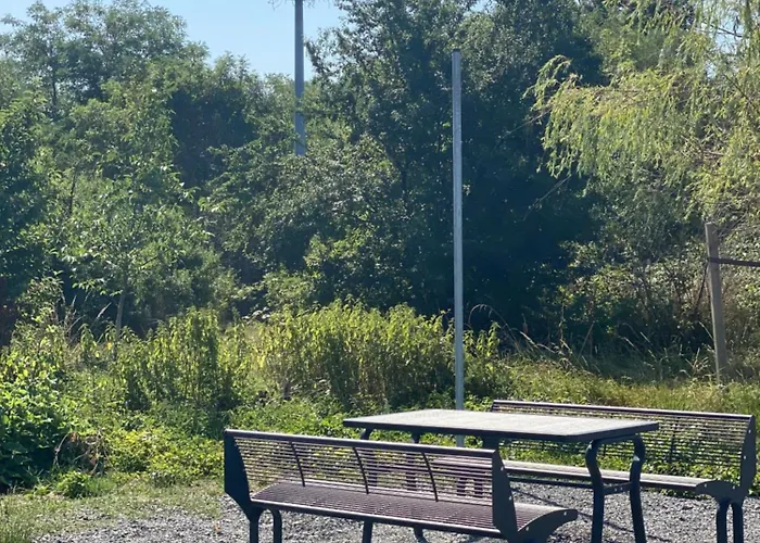 Hoffmann Am Rheinbogen