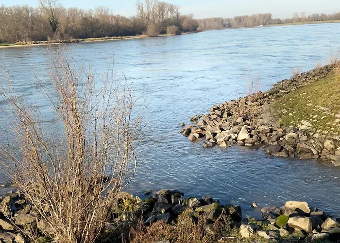 Holiday home Hoffmann Am Rheinbogen *