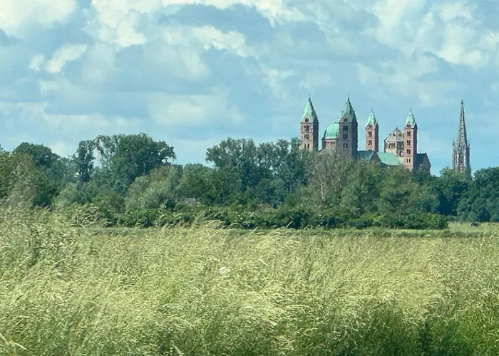 Hoffmann Am Rheinbogen Holiday home *